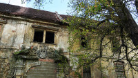 zakupy konirna rub lic 11